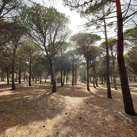 Marina Ile Des Pecheurs Сasa de vacaciones *